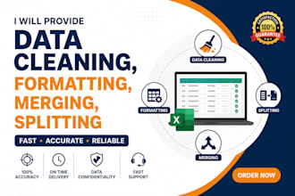 providing data cleaning, formatting, merging, splitting