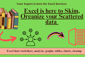 do ms excel data cleaning, analysis, and automation