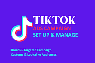 create tik tok ads campaigns, tik tok ads manager, tik tok marketing