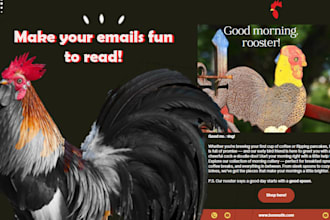 setup email marketing flows in klaviyo for your store