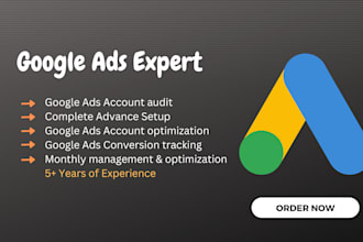 setup, audit, manage and optimise your google ads PPC campaign
