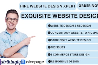 design and redesign nicepage, strikingly website with attractive landing page