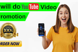 do organic youtube video promotion using ads campaign