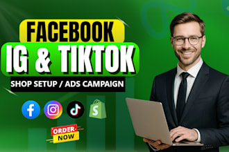 set up your online shop and run targeted facebook and instagram ad campaigns