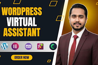 be your wordpress virtual assistant or wordpress maintenance manager