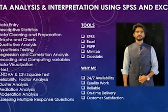 data analysis interpretation spss excel stata