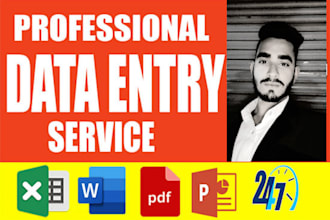 do speed data entry cleaning and copy paste job in very affordable rate
