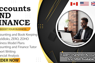 expert in accounting, bookkeeping, audit, finance and taxes
