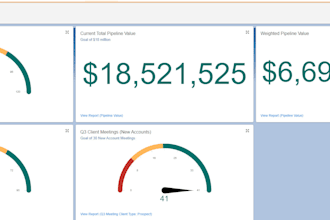 implement and customize customers salesforcecom application