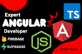 expert angular developer for custom web applications