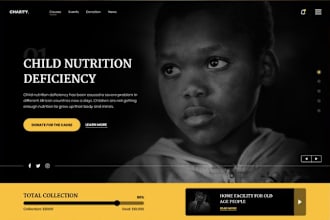 nonprofit website, ngo website, donations website, fundraising website, charity