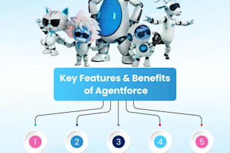 provide best of my skills with salesforce project manager ba agentforce