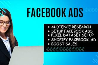 setup and manage meta facebook ads campaign and instagram