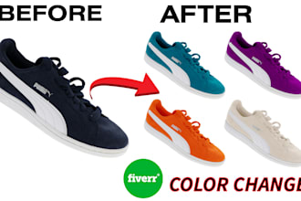 photo recolor image logo product color change professionally