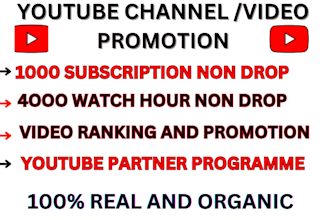 youtube channel promotion, video channel subscription complete monetization