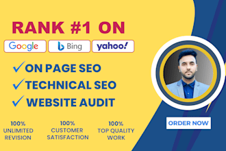 do onpage SEO and technical optimization for wordpress site
