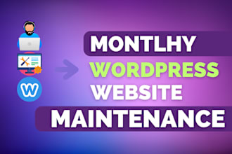 do professional wordpress maintenance and support service