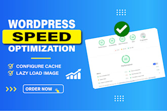 do wordpress speed optimization for google pagespeed insights