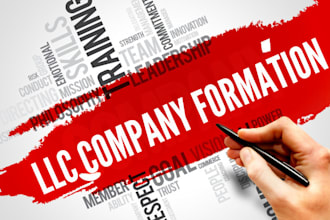 form US llc company for USA residents and non residents