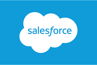 work as a salesforce consultant, developer and admin