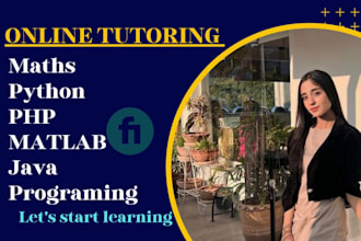 tutor math python java sql matlab and programming