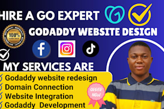 godaddy website development godaddy website design godaddy website redesign SEO
