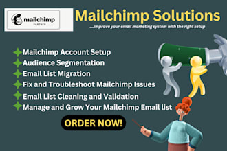 setup spf dkim dmarc clean mailchimp email list and improve email deliverability