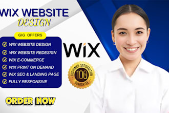 redesign wix clothing website design wix ecommerce website wix website redesign