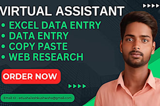do fast data entry, web research copy paste excel data entry