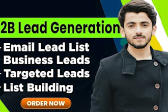 b2b market lead discovery, data handling, data compilation