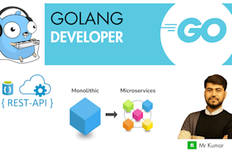 develop and fix your backend or rest apis in golang