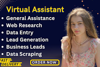 be your virtual assistant for data entry and web research