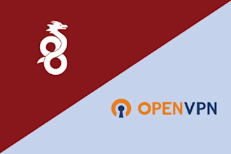 professionally configure and set up wireguard or openvpn