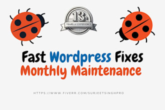 do monthly wordpress maintenance and support bug fixing, updates and more