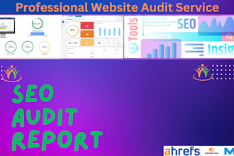 provide you professional audit report and fixing errors
