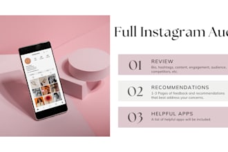 conduct a full instagram audit for your brand