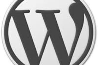help you with your wordpress site