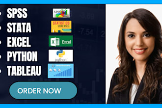 do statistical data analysis in spss, stata, python, r and excel