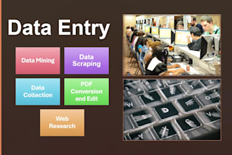 start providing accurate data entry services for a minimum cost of 5 USD