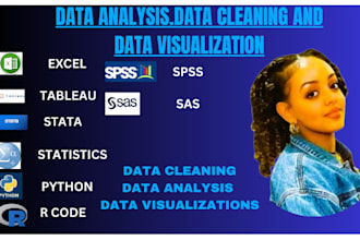 do statistical data analysis, r coding, spss, stata, excel, python programming