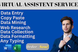 do excel data entry, web research and any type of typing work