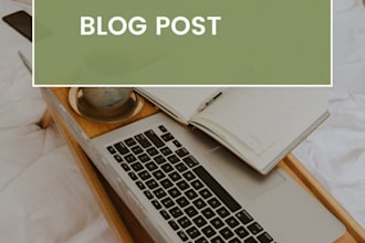 write optimized surfer SEO friendly articles and blog posts