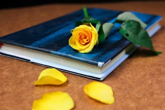 write on sociology, political science, literature, marketing and management