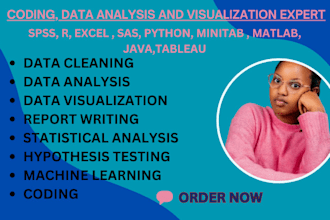 do statistical data analysis, r coding, spss, stata, excel, python programming