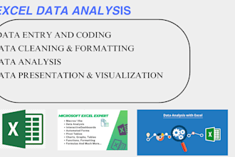 do accurate excel data analysis and visualization