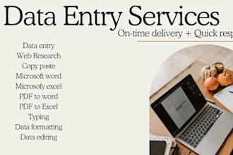 do data entry in excel, file conversion, copy paste and web research