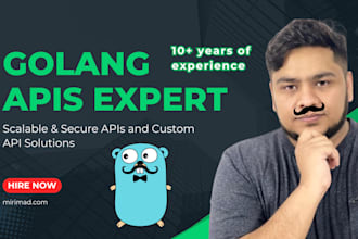 develop high performance golang apis for your project