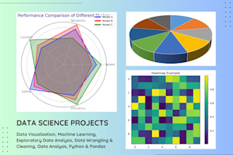give expert data scientist services for eda, ml, and python projects