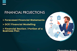 create financial statements and forecasts
