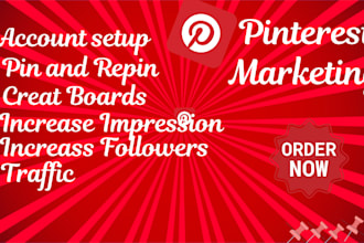 be in charge of your SEO, advertising strategy, and pinterest promotion